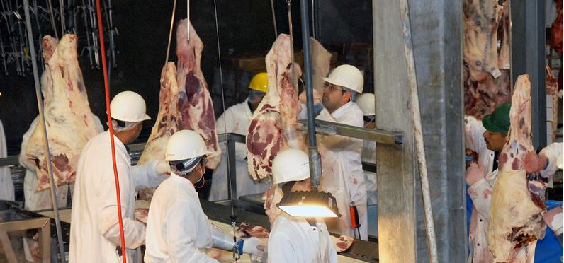 Slaughterhouse workers